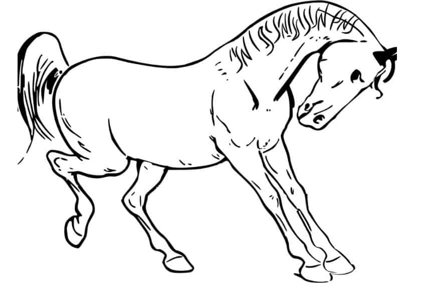 horse coloring pictures