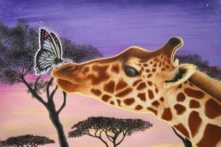 How to Draw Animals - Instructions for Easy Drawings of Animals