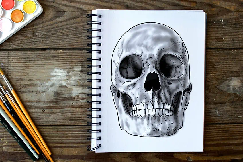 Pencil Drawing Of A Skull