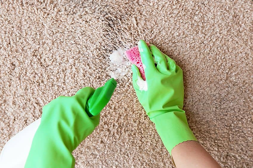 How To Get Acrylic Paint Out Of Carpet Our Top Tips To Remove Acrylic
