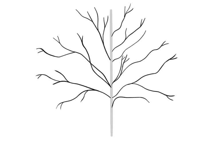 How to Draw a Tree - Step-by-Step Tree Drawing Tutorial