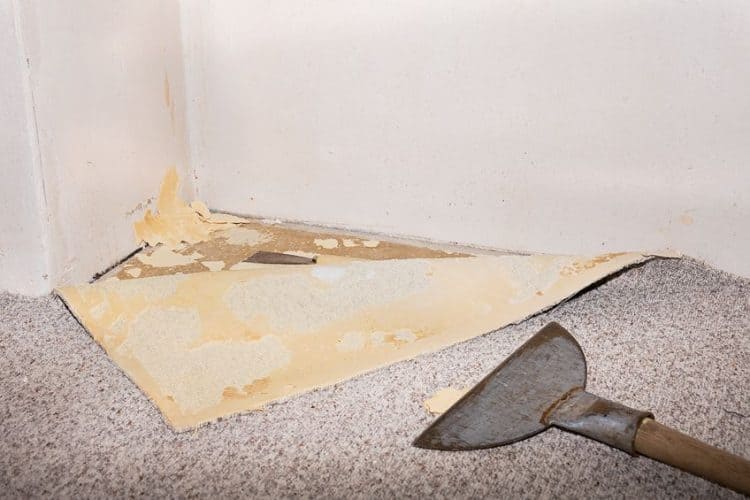How to Remove Carpet Glue Selecting the Best Carpet Glue Remover