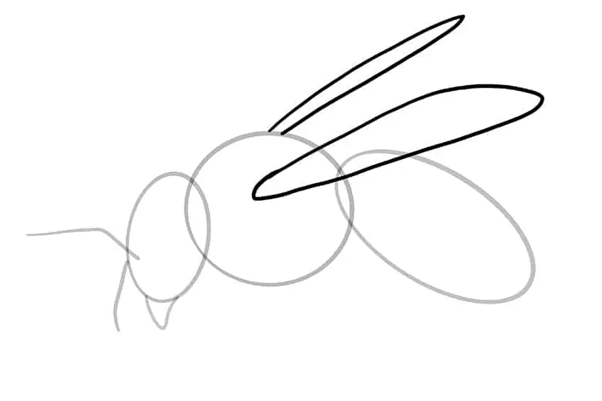 Bee Sketch 6