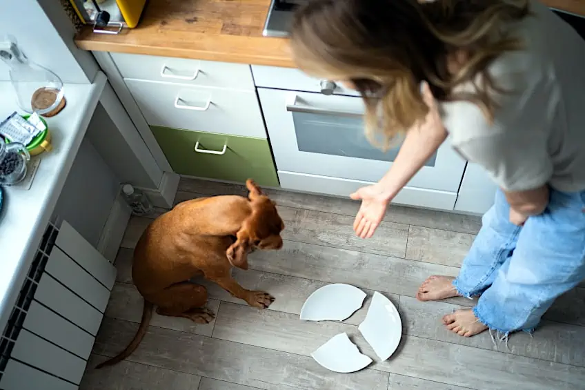 Repair Crockery with Epoxy Adhesive