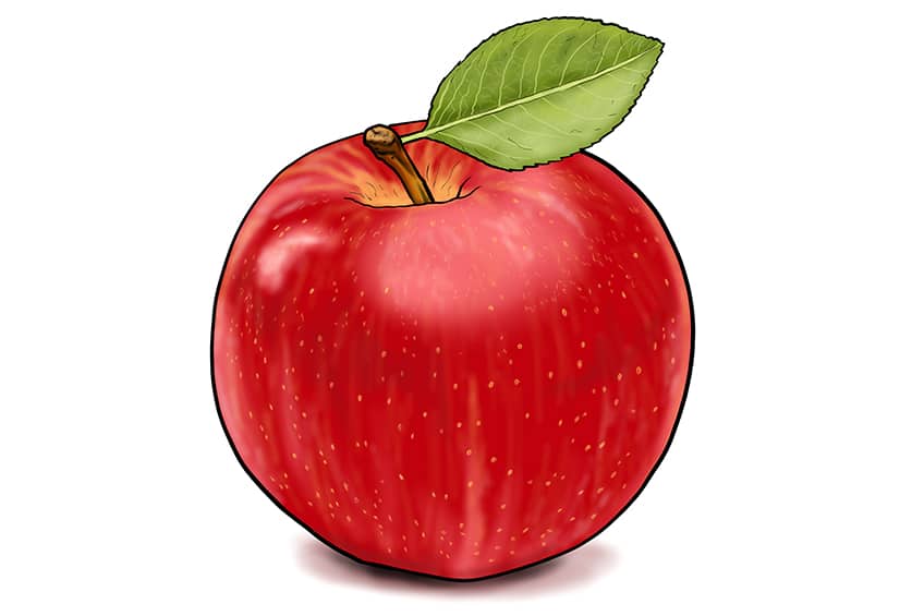 Apple Sketch 16