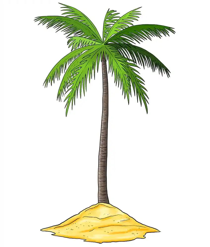 how to draw a palm tree step by step