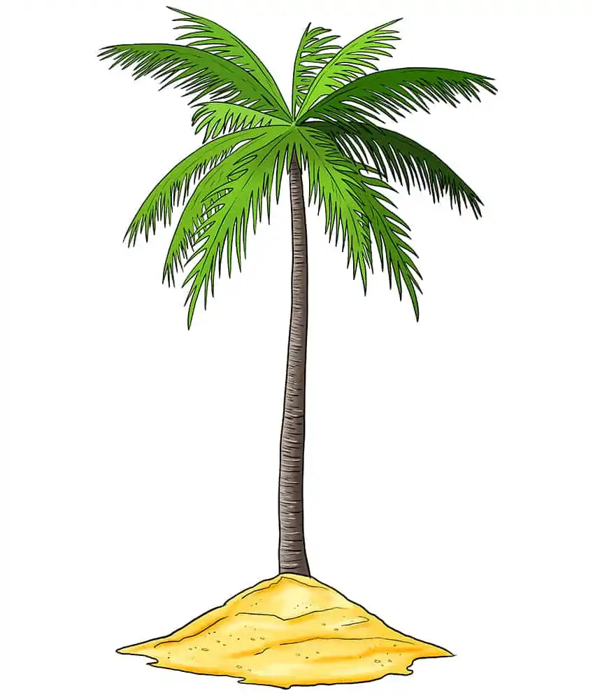 Palm Tree Sketch 13