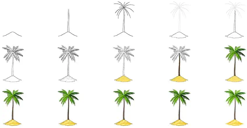 how to draw a palm tree on a beach