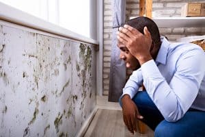 Can You Paint Over Mold? - How to Fix Mold Damage for Good