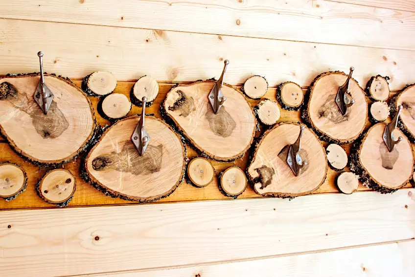 Wood Slice Coat Rack