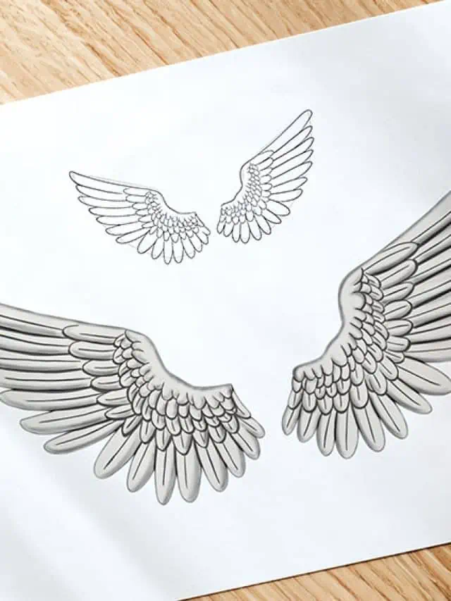 How To Draw Wings – Feathered Angel Wings