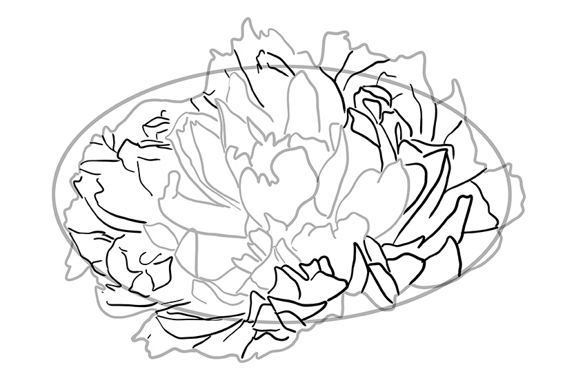 Peony Sketch 5