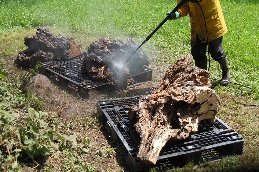 Dry Out Burl Before Use