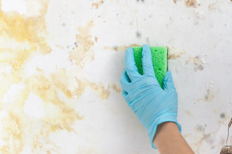 How to Clean Walls With Flat Paint Easy Stain Removal Guide