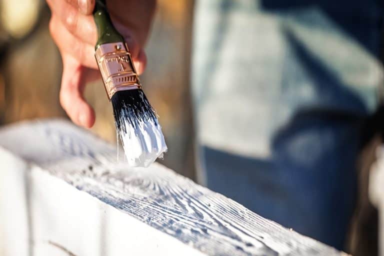 Primer vs. Undercoat When to Use Which Type of Prep Coat